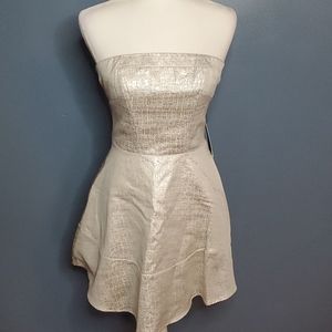 Express Shimmery Strapless Dress